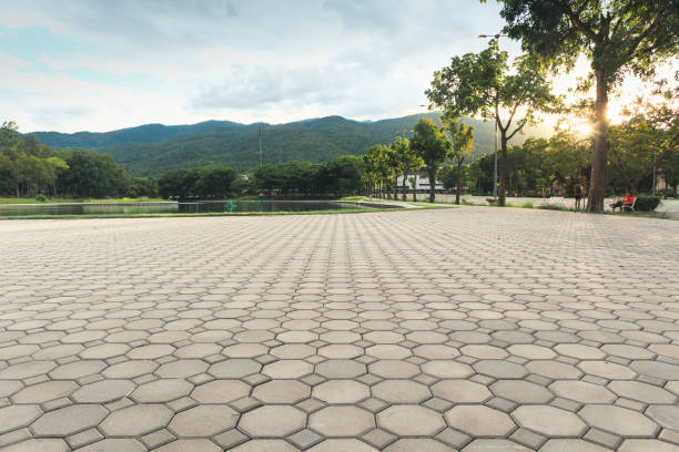 Permeable Paver Driveway in Williamsville, IL